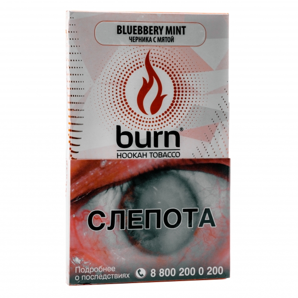 Купить Burn - Blueberry Mint (Черника и Мята, 100 грамм)