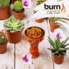 Купить Burn - Cactus (Кактус, 200 грамм)