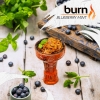 Купить Burn - Blueberry Mint (Черника и Мята, 100 грамм)